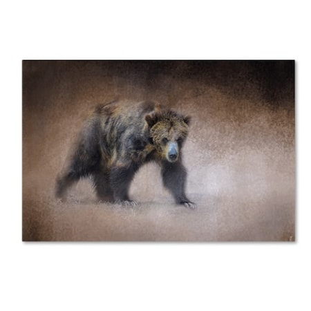 Jai Johnson 'Young Grizzly Bear' Canvas Art,22x32